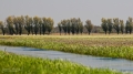 040_Biebrza - kwiecien 2012